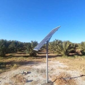 255997799 2609899655822432 6190108920289169948 N 1 300x300